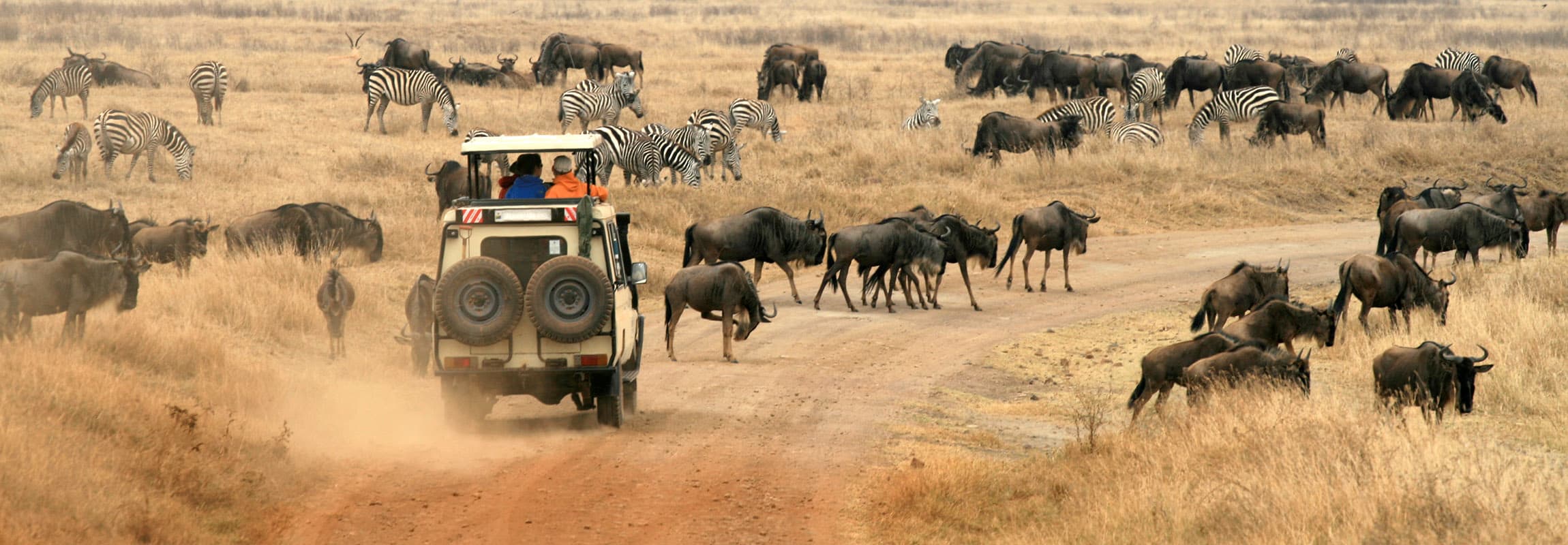 Africa